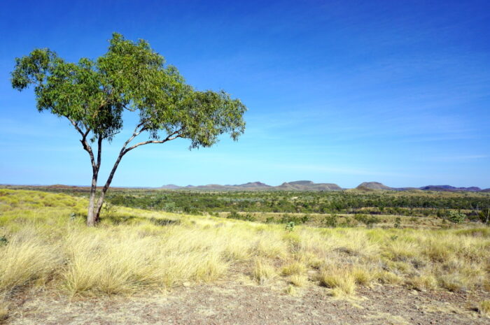 Adventures in the outback